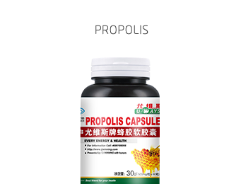 PROPOLIS CAPSULES 500mg×60 granule